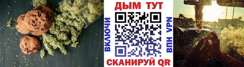 Купить закладки  Новоалександровск  Cannafood конопля 