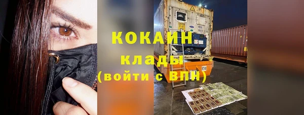 твердый Арсеньев
