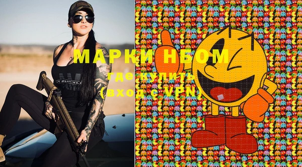 винт Аркадак