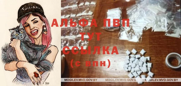 винт Аркадак