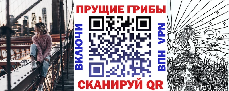 Купить где  Новоалександровск  Галлюциногенные грибы MAGIC MUSHROOMS 