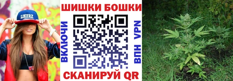 Бошки марихуана AK-47  Купить закладки  Новоалександровск 